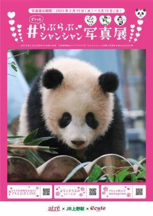 アトレ上野×JR上野駅　ずぅっと#らぶらぶシャンシャン桜ツリーが登場！アトレ上野館内がシャンシャンの写真一色になります！！