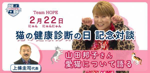 2月22日(にゃんにゃんにゃん)は「猫の健康診断の日」　Team HOPEにて猫の健康診断キャンペーン実施中！　～猫の健康診断 受診体験記　WEBサイト公開～