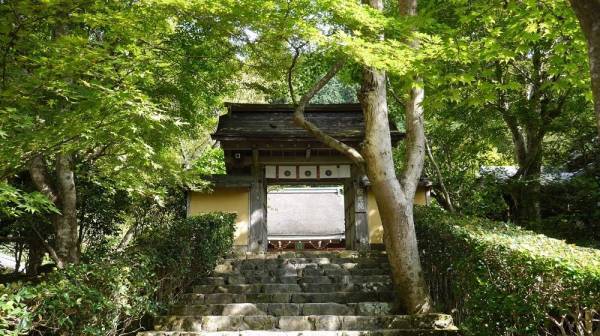 「とっておきの大原」プレミアムバスツアーを販売開始