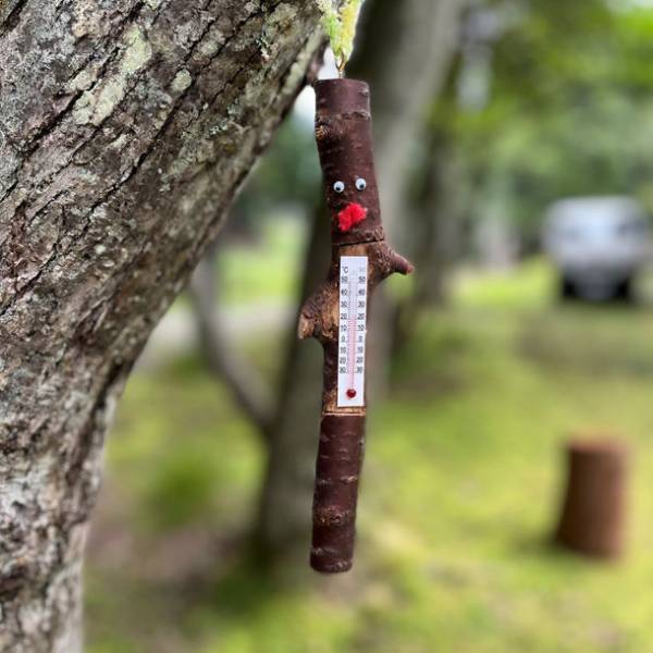 15歳以上対象「六甲山の森づくり事業」ボランティア募集のお知らせ　～自然豊かな六甲山の森の整備とクラフト体験！5月27日開催～