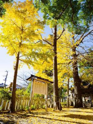 「かつうらビッグひな祭り」が4年ぶりに開催！人気占い師Love Me Doイチオシ！2023年運気が上がる千葉の最強パワースポットを発表