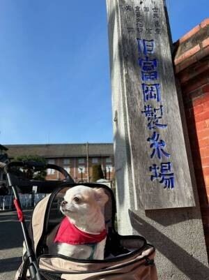 世界文化遺産・国宝の富岡製糸場で「ペットとの同伴入場が可能に」3月1日に開始