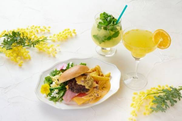 川崎駅前「ラ チッタデッラ」のレストラン連動企画　春の訪れをミモザメニューで先取り！『MIMOSA FAIR』3月12日まで開催中　～川島海荷さんトークショーや、出店数過去最大規模のマルシェなども～