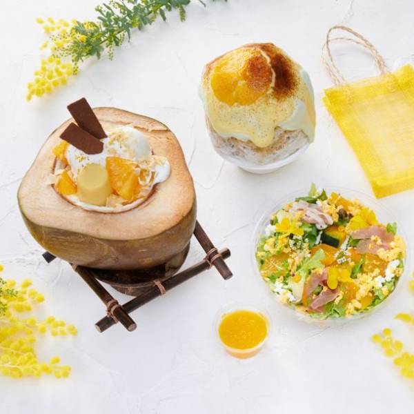 川崎駅前「ラ チッタデッラ」のレストラン連動企画　春の訪れをミモザメニューで先取り！『MIMOSA FAIR』3月12日まで開催中　～川島海荷さんトークショーや、出店数過去最大規模のマルシェなども～