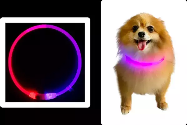 ～夜が安心に！遠くからよく見える～ペット用お散歩ライト『GOGO(ゴーゴー)ナイト』新発売