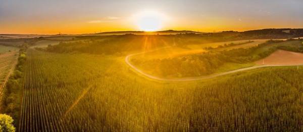 チェコ政府観光局がチェコの「食」に特化したパンフレットを制作　知られざる美食の国チェコで2023年に開催される食のイベントを紹介