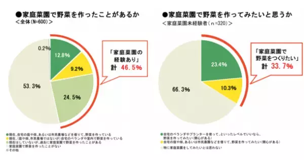 Amazon新着ランキング家庭菜園カテゴリ1位を獲得！コミックエッセイ『野菜づくり、はじめます！』を2023年3月2日(木)に発売