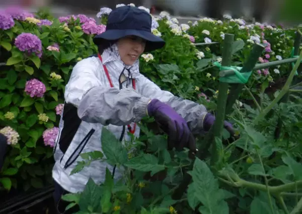 Amazon新着ランキング家庭菜園カテゴリ1位を獲得！コミックエッセイ『野菜づくり、はじめます！』を2023年3月2日(木)に発売