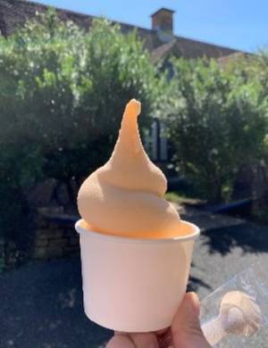 千葉県庁職員が選んだ！“他県の人におすすめ”したい千葉県グルメ　～道の駅スイーツ編～