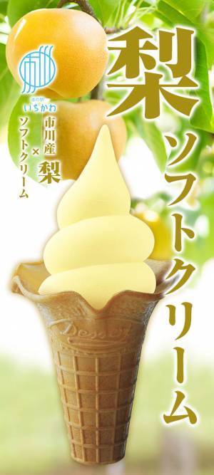 千葉県庁職員が選んだ！“他県の人におすすめ”したい千葉県グルメ　～道の駅スイーツ編～