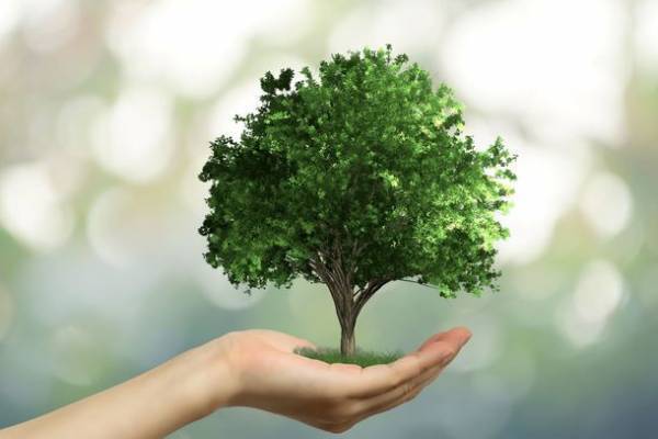 官・民・NGO・NPO・森を守る人々が集結する「FSC国産木材普及推進シンポジウム」3月17日 愛知・一宮市で開催