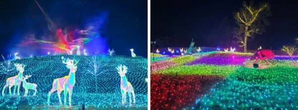 好評につき「Wonder Night Hill 2022」3月まで期間延長！大阪堺市『ハーベストの丘』100万球が彩るイルミネーション