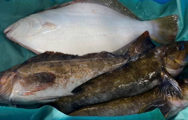 【あべのハルカス近鉄本店】東北の今を伝える「東北六県　味と技めぐり」開催