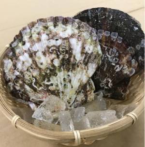 【再送】【あべのハルカス近鉄本店】東北の今を伝える「東北六県　味と技めぐり」開催