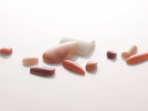 世界最高品質を誇る日本の宝石サンゴの魅力を広めるイベント「WJJコーラルジュエリー・キャンペーン2023」3月5日(日)～7日(火)開催！