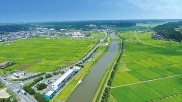 千葉県多古(たこ)町で子どもから大人まで参加できるマラソン大会「TAKOTAKO RUN！」が3月18日開催