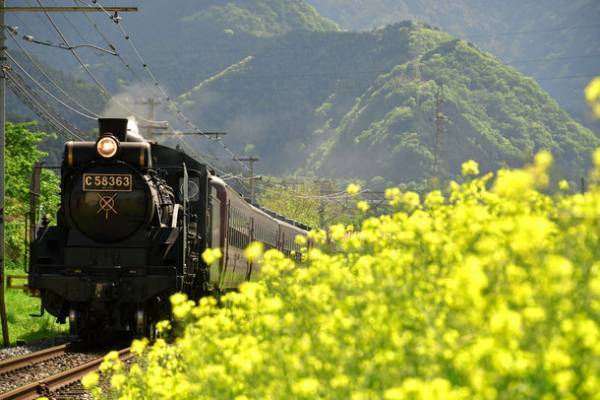 SLパレオエクスプレス運行開始35周年　2023年のSL運行スケジュール決定　～4月1日から運行を開始し、料金改定も実施～