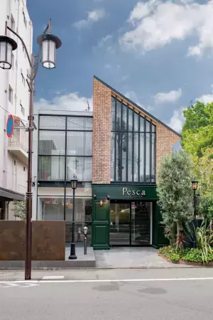 【PESCA】3秒で若返り！ピンがない！最小・最軽量の白髪隠し特化型ウィッグ「ヘアメイト チャチャ」3月16日(木)発売