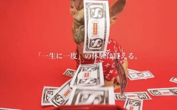 憧れのインフルエンサーと実際に会って「一緒にウインドウショッピングが出来る」体験型サービス【プレミアムアテンダント】がスタート！