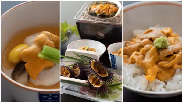 ＜期間限定＞“幻”の赤ウニ尽くし会席付宿泊プラン 3月1日(水)販売開始　長崎 離島の宿『壱岐リトリート海里村上 by 温故知新』で極上の夏旅を