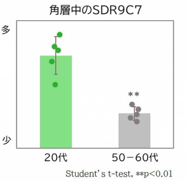 肌のバリア機能に有効な『ムラサキバレンギク新エキス』を開発　日本農芸化学会2023年度大会にて発表