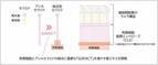 肌のバリア機能に有効な『ムラサキバレンギク新エキス』を開発　日本農芸化学会2023年度大会にて発表