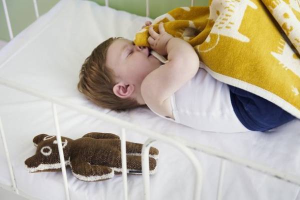 KLIPPANが西宮阪急ベビーフロアにて3月29日(水)～4月11日(火)にPOPUP STOREを初出店！子どもと地球の未来を守るオーガニックブランケットを販売