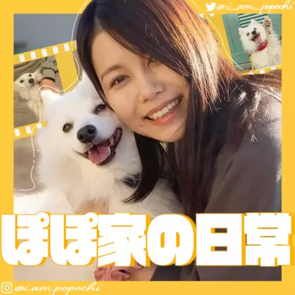 SNSで大人気！可愛くて愛おしいペット特集　WEBメディア「chocure(チョキュア)」で公開