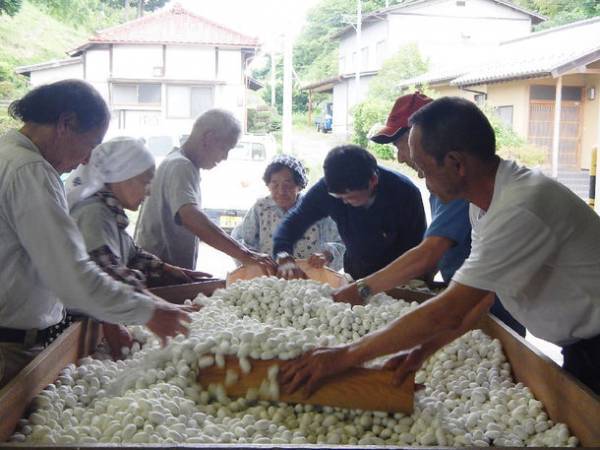 繊維業界初！形状保持構造をもつ洗えるシルク100％糸「姫＋」が“知恵-1グランプリ チャレンジ部門 優秀賞”を受賞