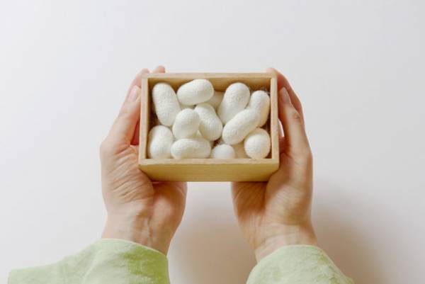 繊維業界初！形状保持構造をもつ洗えるシルク100％糸「姫＋」が“知恵-1グランプリ チャレンジ部門 優秀賞”を受賞