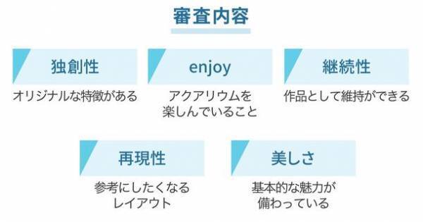 今、ブームのアクアリウム。誰でも楽しめる水槽レイアウトコンテスト「第2回 GEX アクア レイアウトコンテスト2023」特設サイトで3月1日から応募開始！