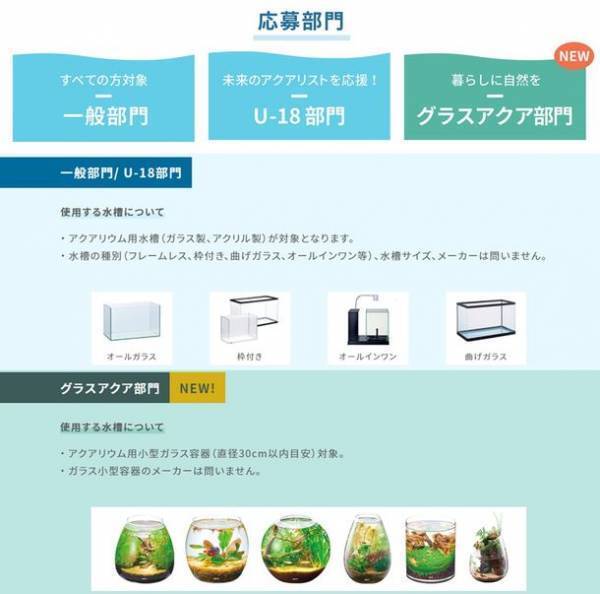 今、ブームのアクアリウム。誰でも楽しめる水槽レイアウトコンテスト「第2回 GEX アクア レイアウトコンテスト2023」特設サイトで3月1日から応募開始！