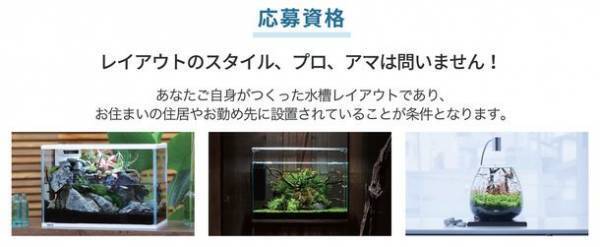 今、ブームのアクアリウム。誰でも楽しめる水槽レイアウトコンテスト「第2回 GEX アクア レイアウトコンテスト2023」特設サイトで3月1日から応募開始！