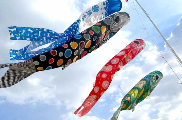 創業76年の老舗 徳永こいのぼり、染色作家・三橋遵と共同開発したこいのぼり「皐月の唄」を販売開始
