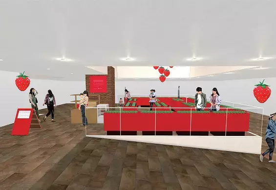 【あべのハルカス近鉄本店】百貨店内で手軽にいちご摘み体験ができる「いちごの庭プロジェクト」が3月15日スタート