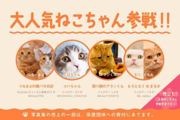 ねこフェチ写真集 第1弾！“ねこちゃんの後頭部”だけを集めたフェチ全開写真集のクラウドファンディングを開始