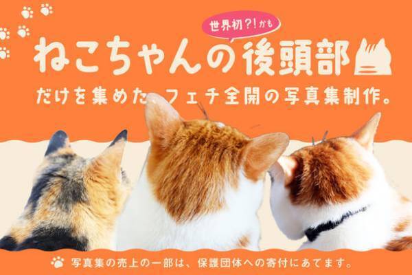 ねこフェチ写真集 第1弾！“ねこちゃんの後頭部”だけを集めたフェチ全開写真集のクラウドファンディングを開始