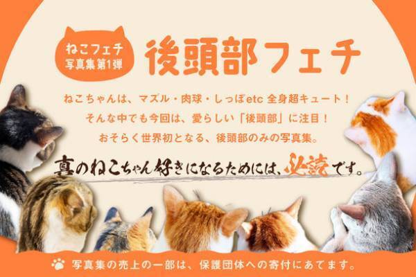 ねこフェチ写真集 第1弾！“ねこちゃんの後頭部”だけを集めたフェチ全開写真集のクラウドファンディングを開始