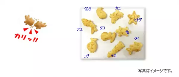 『グラン・デリ ワンちゃん専用 おっとっと』から“きなこ味”と“シーフード味”を新発売