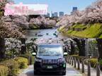 国際自動車(kmタクシー)東京の桜を楽しむ「東京観光お花見タクシー2023」の予約を開始