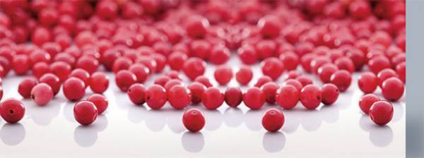 『フィトメール ボディ デクリック』が3月1日発売　フランス発祥マリンコスメティクスブランド・PHYTOMERよりビオ オーガニックラインに肌引き締めアイテム新登場