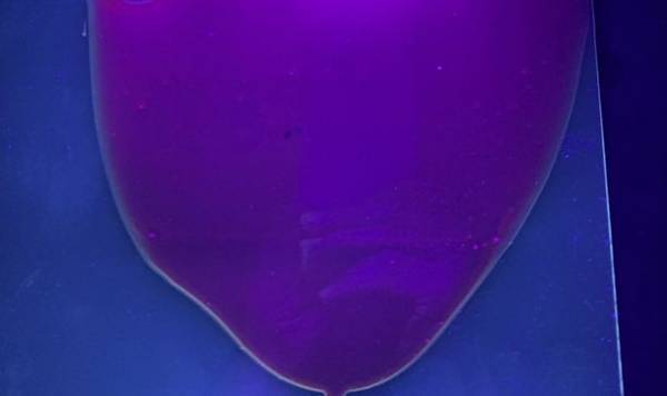 GSアライアンスが植物、農作物の成長を早める可能性のある量子ドットフィルムを開発