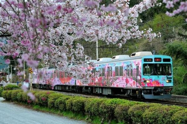 鉄道むすめ「桜沢みなの」9回目のバースデー記念　3/21に新グッズ先行販売のマルシェ＆撮影会イベントを開催