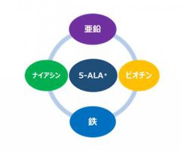 5-アミノレブリン酸配合・新サプリメント「ALAVITAL(アラヴァイタル)」を発売