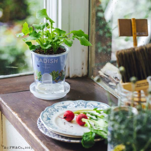 ピーターラビット(TM)とAfternoon Teaが初コラボレーション　ブック型小物入れやポーチなど4月10日(月)発売開始　リバティ・ファブリックスを使用した雑貨アイテムも登場