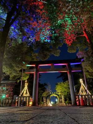 環境観光支援イベント『信玄光芸術竹灯籠'23』開催に伴い協賛企業を募集を開始