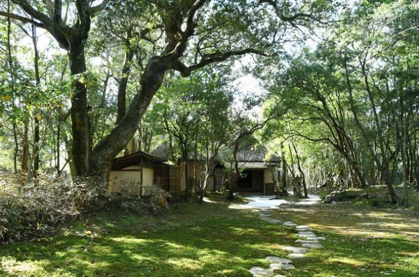 3月17日～19日は映画『わたしの幸せな結婚』のロケ地へ　“蓮”で知られる専修寺(三重県津市)へ聖地巡礼