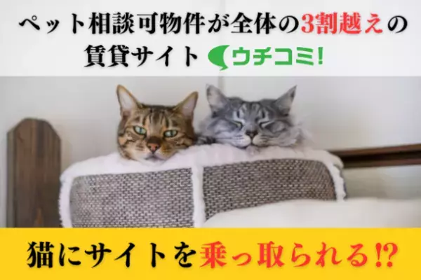 ペット相談可物件が全体の3割越えの賃貸サイト「ウチコミ！」　“猫の日”の認知を広げるための企画を実施