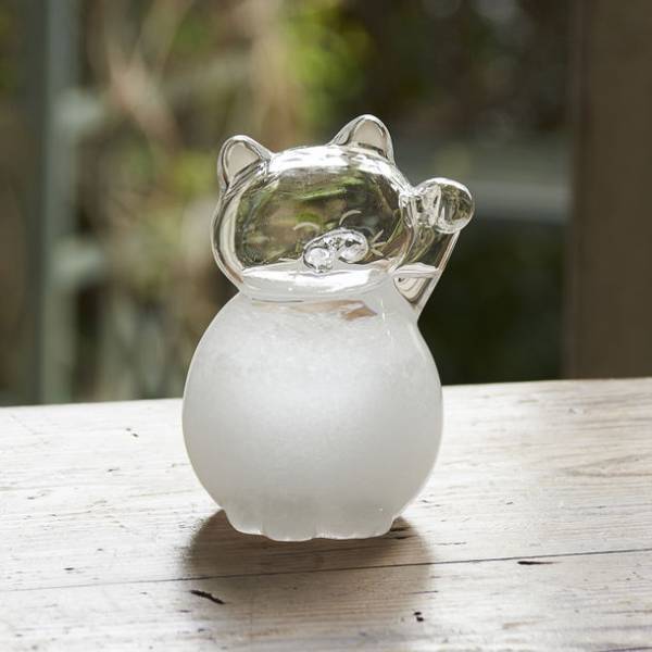 化学変化や現象を楽しむサイエンス雑貨「Fun Science」2023年春夏の新商品が2023年3月15日発売！