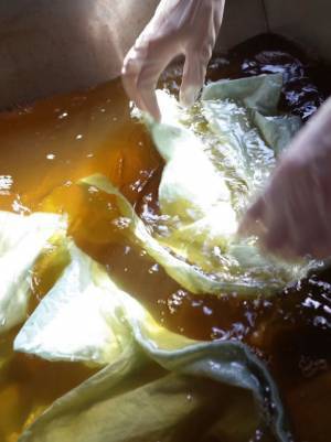 サスティナブル・ブランド「WALANCE」の取り組み　“気のいい”を体現する新たな旅へ　2023 spring & summer collectionを公開